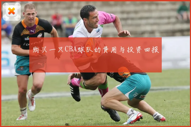 购买一只CBA球队的费用与投资回报
