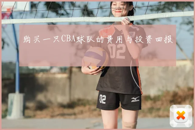 购买一只CBA球队的费用与投资回报