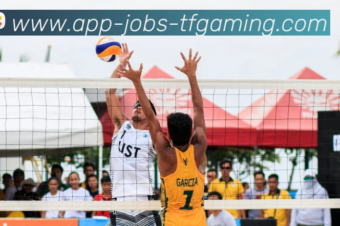 雷火电竞APP服务体系